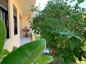 Antonis' Chania City House